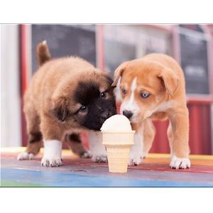 Meet your Posher, Natalia